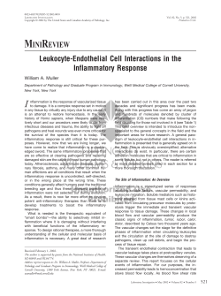 Leukocyte-Endothelial Cell Interactions in the Inflammatory Response