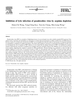 Inhibition of lytic infection of pseudorabies virus by arginine depletion