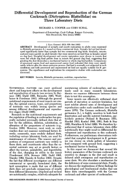 Differential Development and Reproduction of the German Cockroach