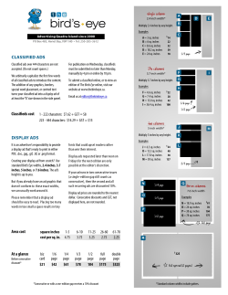 Display ads - The Bird`s Eye
