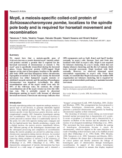 Mcp6, a meiosis-specific coiled-coil protein of Schizosaccharomyces