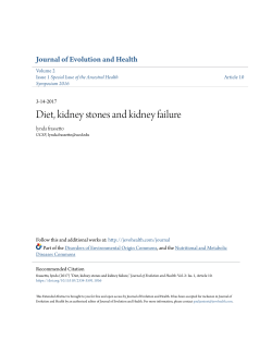 Diet, kidney stones and kidney failure