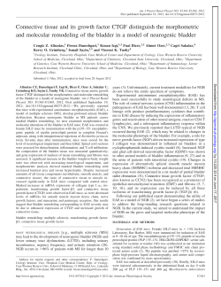 Connective tissue and its growth factor CTGF distinguish the