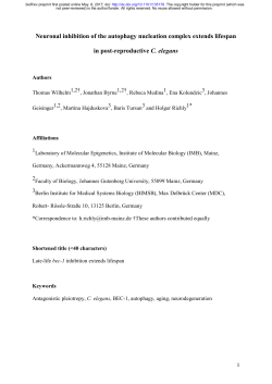 Neuronal Inhibition Of The Autophagy Nucleation Complex
