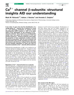 Ca channel b-subunits: structural insights AID our