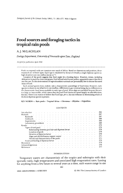 Food sources and foraging tactics in tropical rain pools