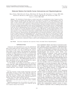 Molecular Markers that Identify Human Astrocytomas and