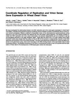 Coordinate Regulation of Replication and Virion