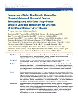 Comparison of Sulfur Hexafluoride Microbubble (SonoVue)