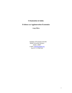 Urbanization in India: Evidence on Agglomeration Economies