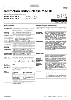 Restriction Endonuclease Mae III
