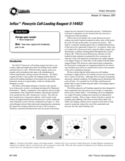 Influx Pinocytic Cell-Loading Reagent