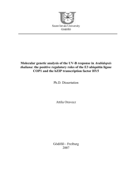 Molecular genetic analysis of the UV-B response in