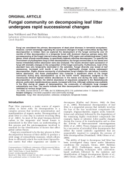 Fungal community on decomposing leaf litter undergoes