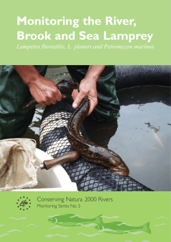 Monitoring the River, Brook and Sea Lamprey