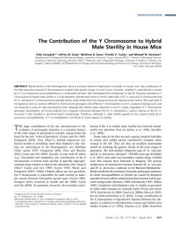 The Contribution of the Y Chromosome to Hybrid Male Sterility in