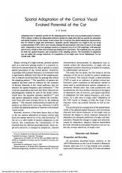 Spatial adaptation of the cortical visual evoked