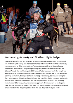 Northern Lights Husky and Northern Lights Lodge