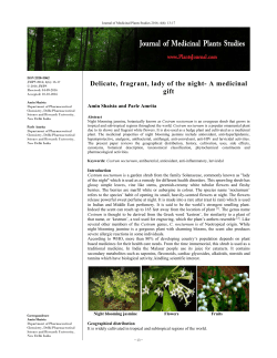 Delicate, fragrant, lady of the night