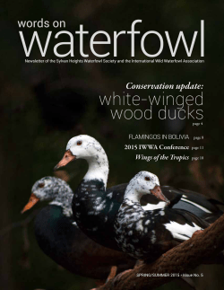 Issue 5 Spring/Summer 2015 - International Wild Waterfowl