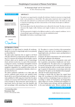 Morphological Assessment of Human Foetal Spleen INTRODUCTION: