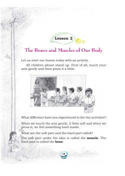 The Bones and Muscles of Our Body