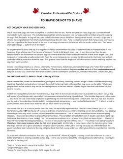 to shave or not to shave? - Canadian Professional Pet Stylists