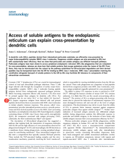 Access of soluble antigens to the endoplasmic reticulum can explain
