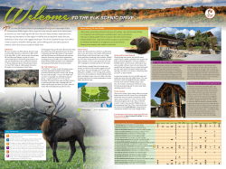 to the elk scenic drive