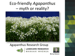 Eco-friendly Agapanthus &ndash; myth or reality?