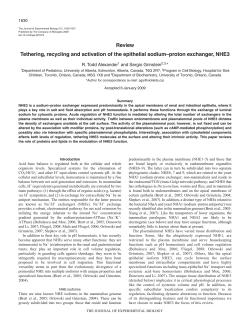 Review Tethering, recycling and activation of the epithelial sodium