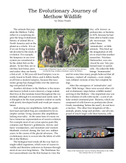 2014-Natural History of the Methow