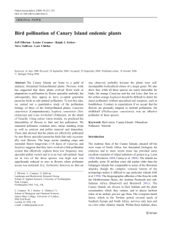 Bird pollination of Canary Island endemic plants