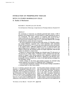 INTERACTION OF PHOSPHOLIPID VESICLES WITH CULTURED
