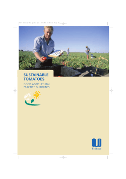 Sustainable Tomatoes