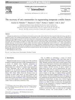 The recovery of ant communities in regenerating temperate conifer