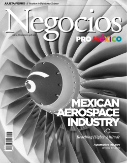 MEXICAN AEROSPACE INDUSTRY