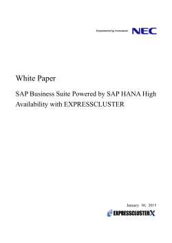 Technical White Paper