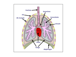 click here - Ysgol Glan y Mor