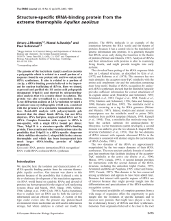 Structurespecific tRNAbinding protein from the extreme thermophile