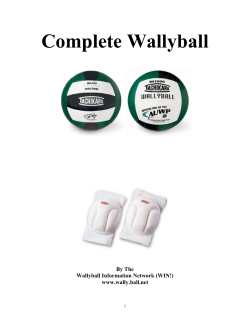 Wallyball Strategy