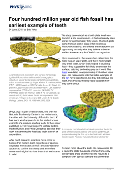 Four hundred million year old fish fossil has earliest