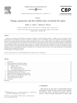 Energy, quiescence and the cellular basis of