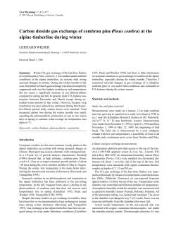 Carbon dioxide gas exchange of cembran pine