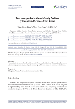 (Plecoptera, Perlidae) from China