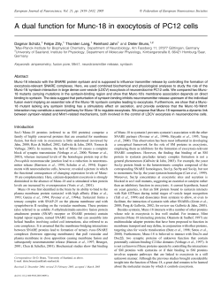 A dual function for Munc-18 in exocytosis of PC12 cells