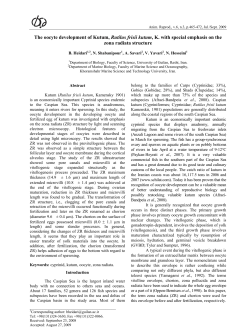 The oocyte development of Kutum, Rutilus frisii kutum, K. with