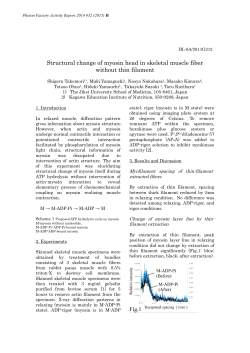 Structural change of myosin head in skeletal