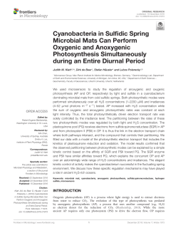 Figure 1 - Frontiers