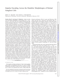 Impulse Encoding Across the Dendritic Morphologies of Retinal